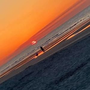 Meet your Posher, Sally